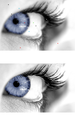 WIKISANTIA - CLEVO W650SZ - Ecrans ultra haute résolution - Full HD garantis zéro pixels défectueux WIKISANTIA - CLEVO W650SZ - Ecrans ultra haute résolution - Full HD garantis zéro pixels défectueux